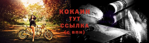 дживик Нефтегорск