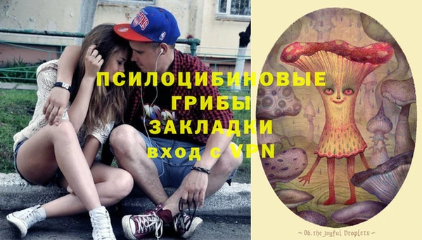 прущие крисы Новозыбков