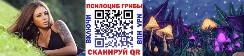 Псилоцибиновые грибы мухоморы  Купить где  Братск 